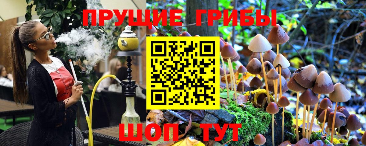 Галлюциногенные грибы Psilocybine cubensis Гулькевичи